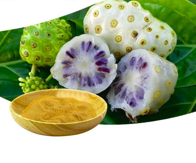 Thé de Noni Terra Farm – Bien-être & Vitalité en Sachets